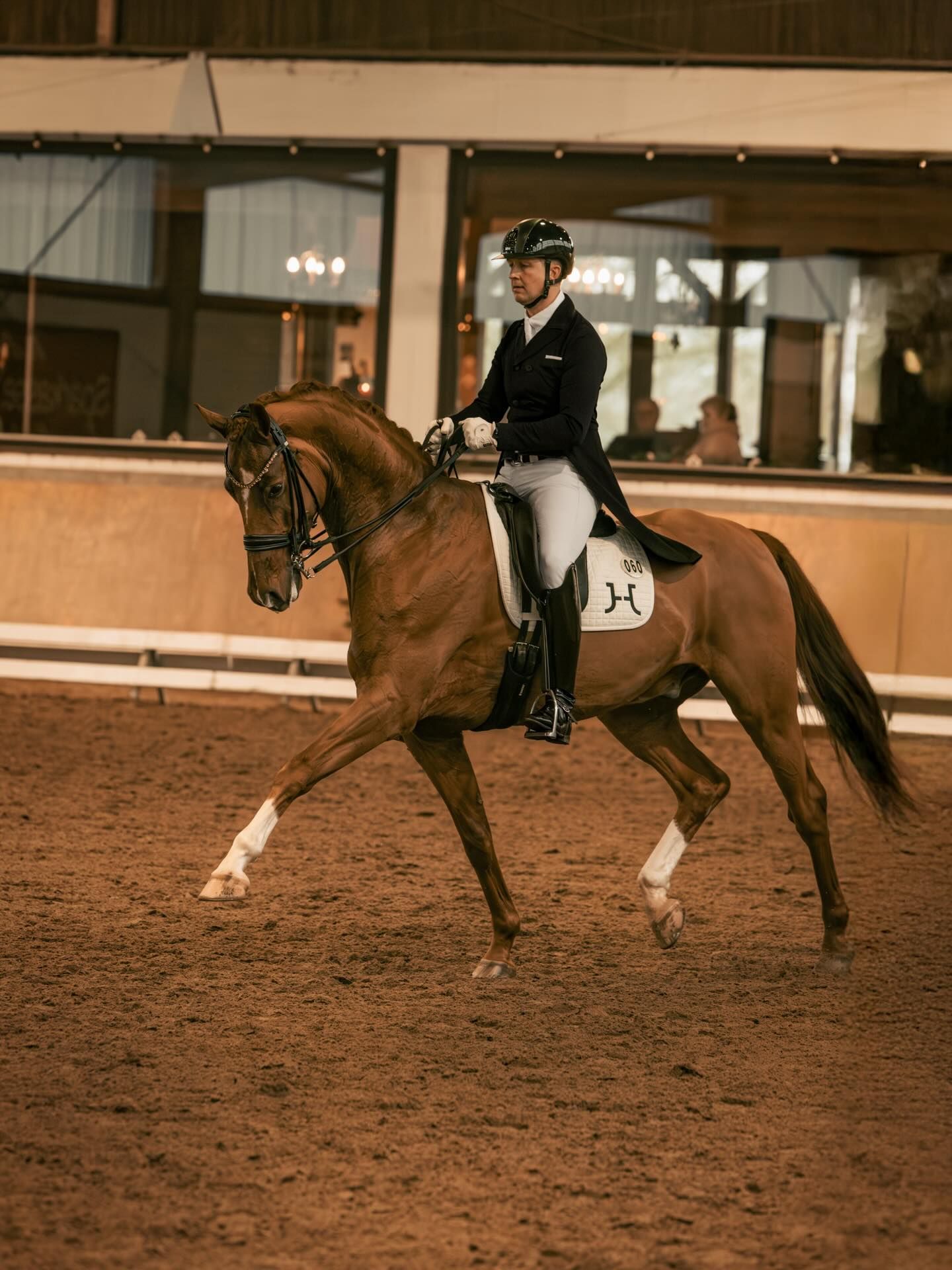 Bild Eine ganz besondere Schleife! 🏅
3jährig in meinem Ausbildungsstall gekommen. Nun mit seinen 7 Jahren, hat Verano B seine erste S-Schleife. Freu mich auf die Turniersaison 2026! 🍀 @blaurockkerstin @hofettwig @sandra_frieling @riekehauenstein.fotografie