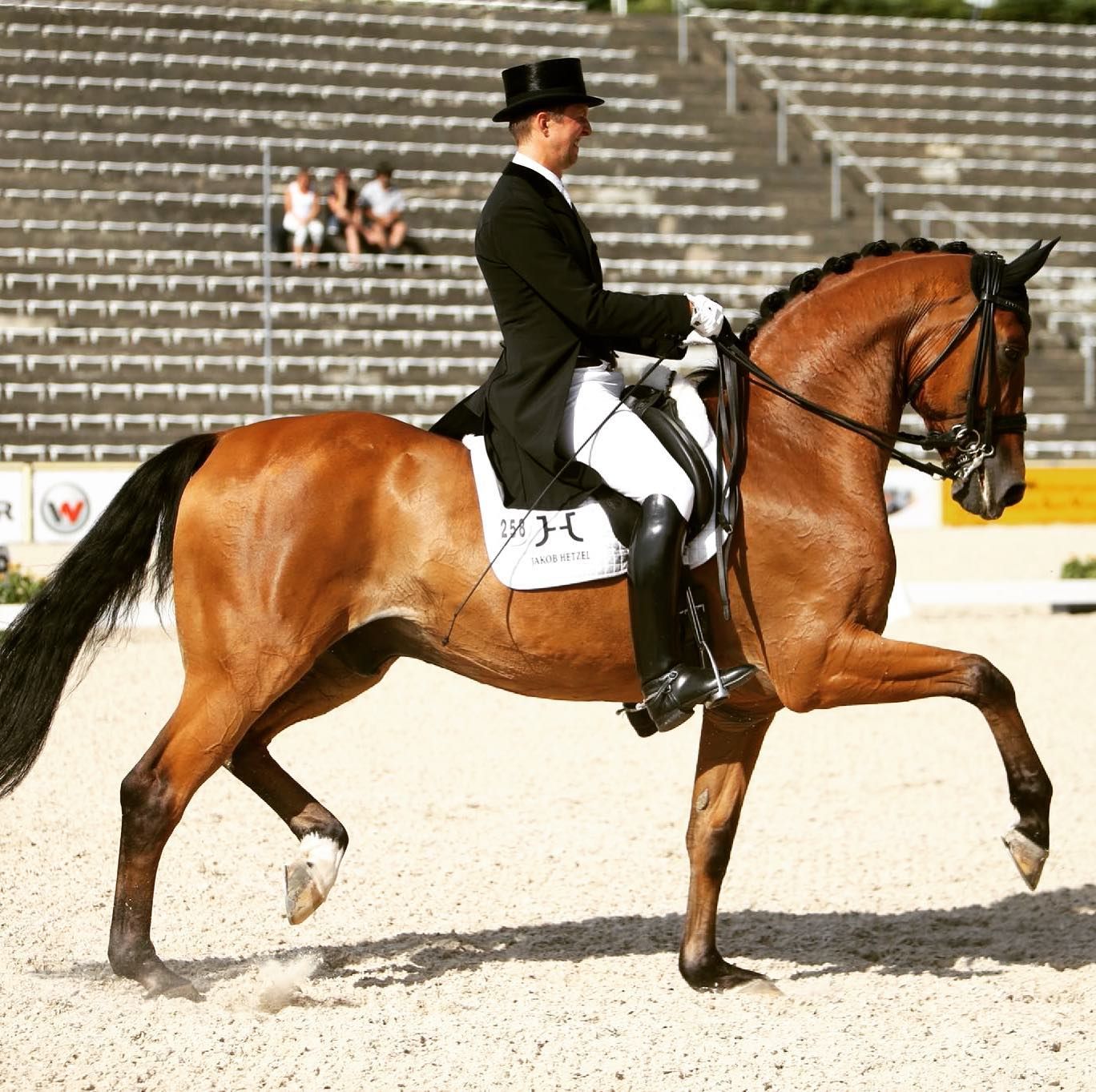 Bild Einer meiner Lieblingsbilder! #jakobhetzel